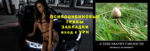 хмурый Валдай