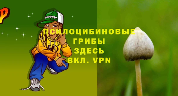 mdpv Бутурлиновка