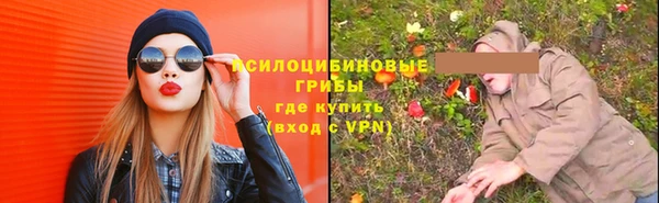 винт Болотное