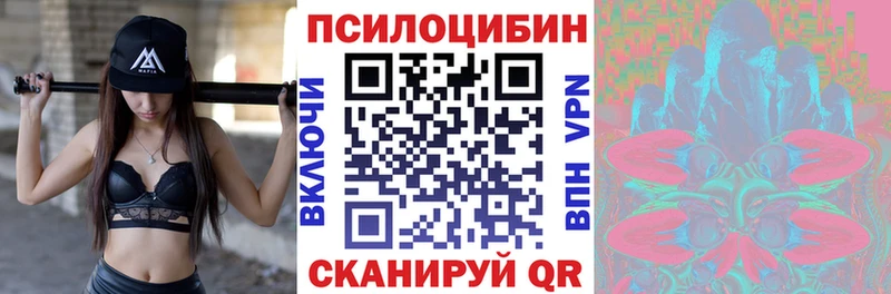 Псилоцибиновые грибы прущие грибы  Правдинск 